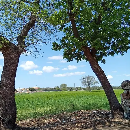 Al Settimo Chilometro Affittacamere