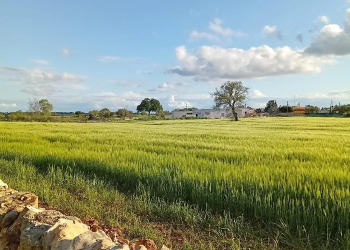 Konukevi Al Settimo Chilometro Gioia Del Colle